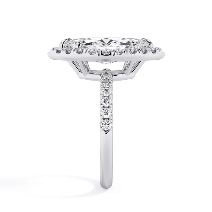 Halo Engagement Ring with Diamonds deBebians Rings